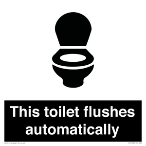 This toilet flushes automatically
